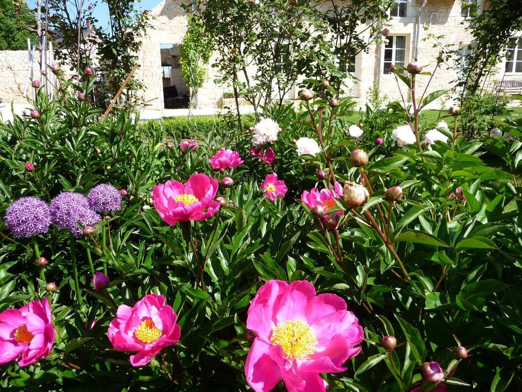 La Maison Du Potager De Mazieres Sainte-Solange エクステリア 写真